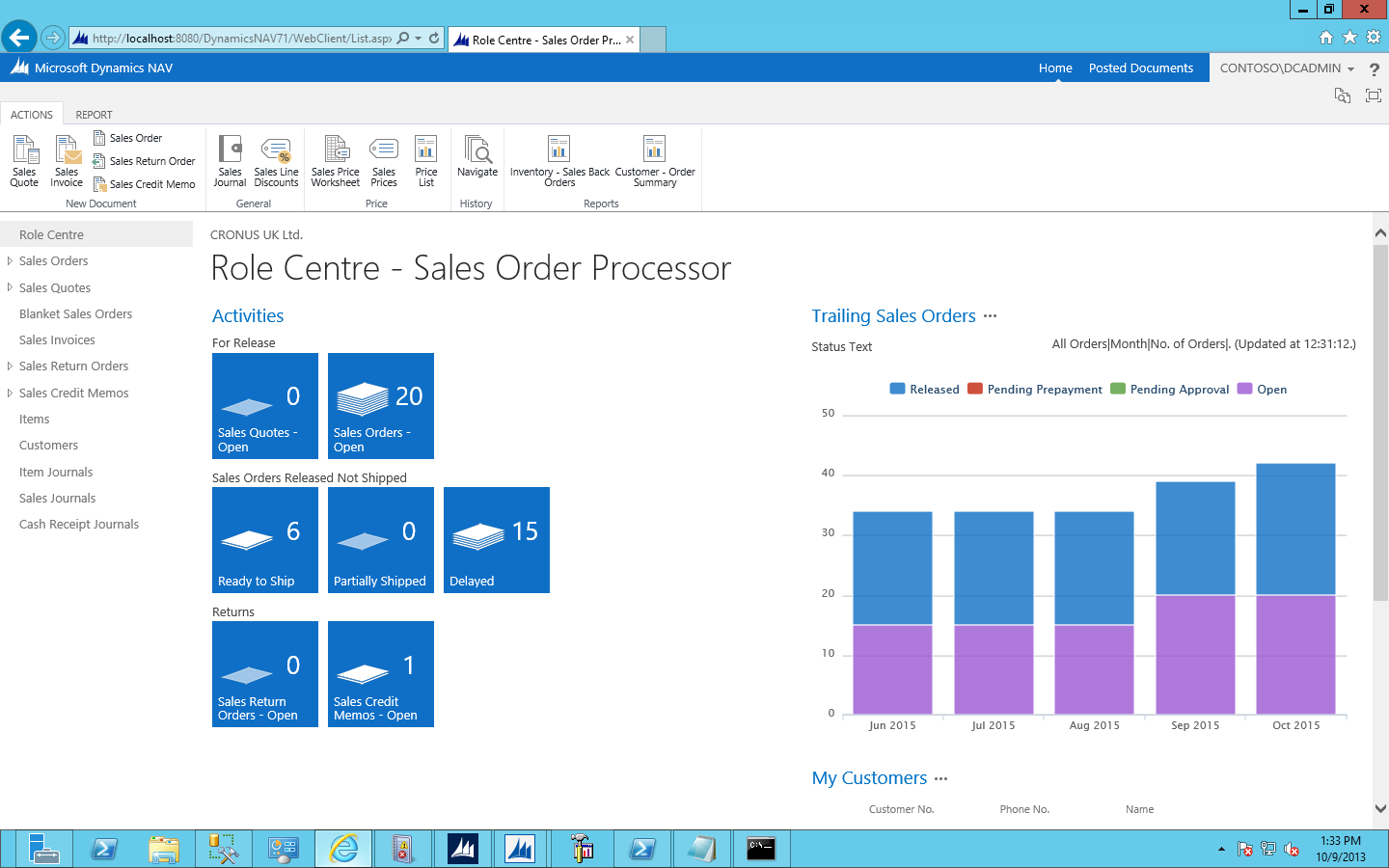 What does microsoft dynamics nav 2013 r2 look like bevica