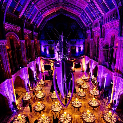 Benevolent Ball 2019 - Natural History Museum